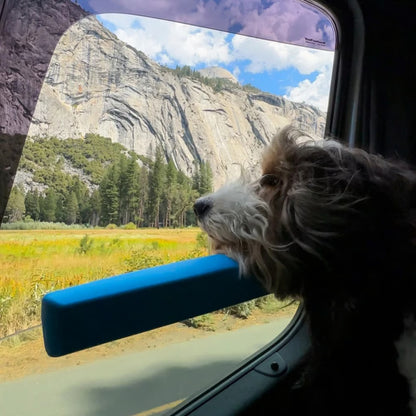 Almohadilla para auto