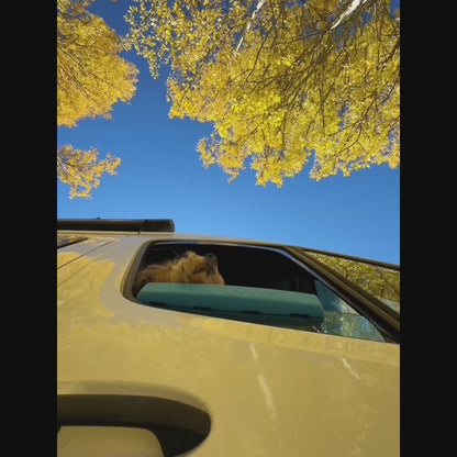 Almohadilla para auto